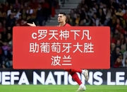 爱游戏足球官网-塞尔维亚大胜葡萄牙，晋级形势一片光明的简单介绍