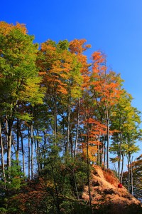 欧国联比赛前瞻，各队战术有何变化？