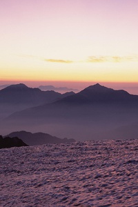 热火二号位球员威德尔当选最佳替补