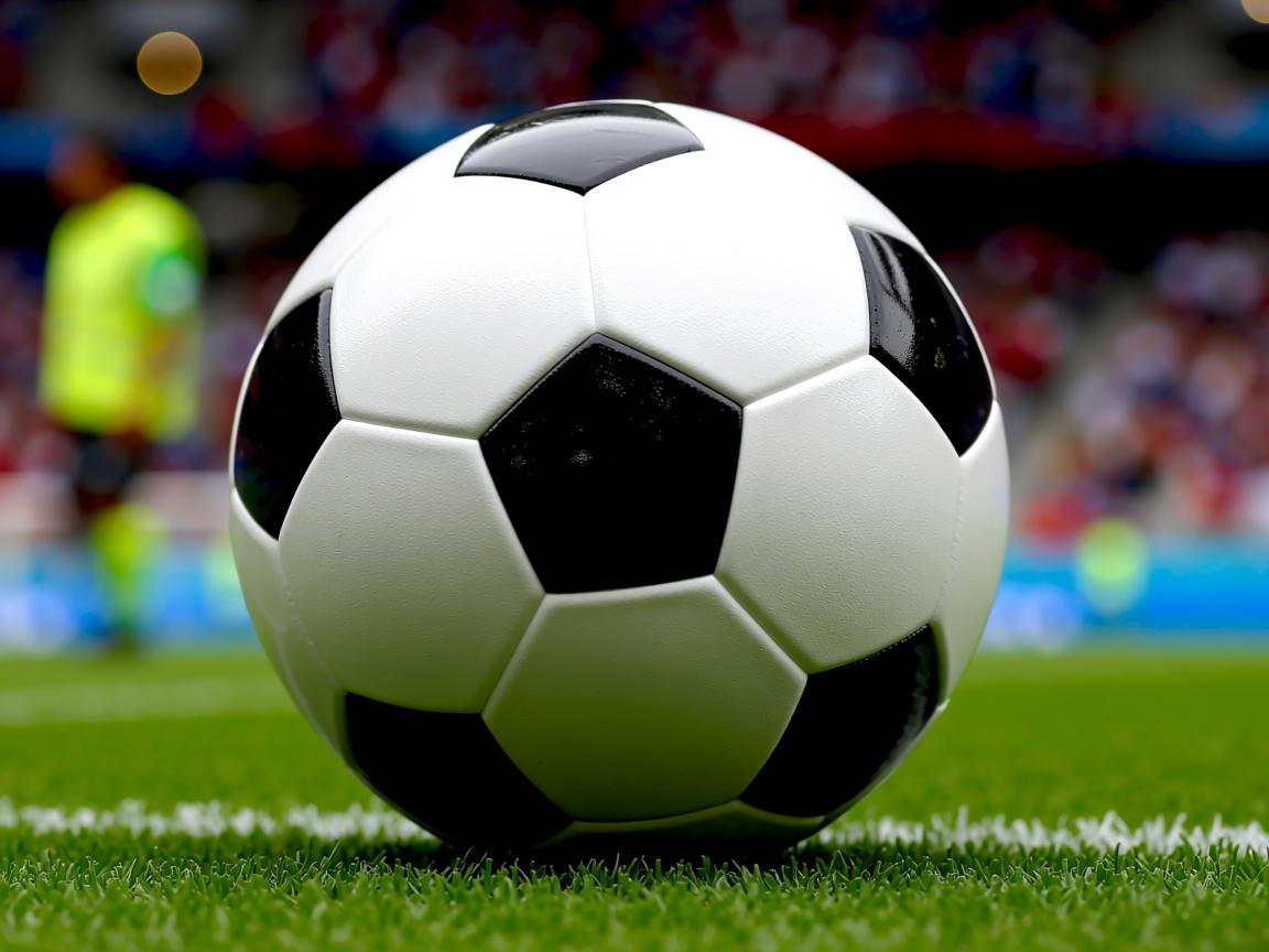 爱游戏-“高新体育中心:武术赛场高手云集,招式惊艳全场” 第2张