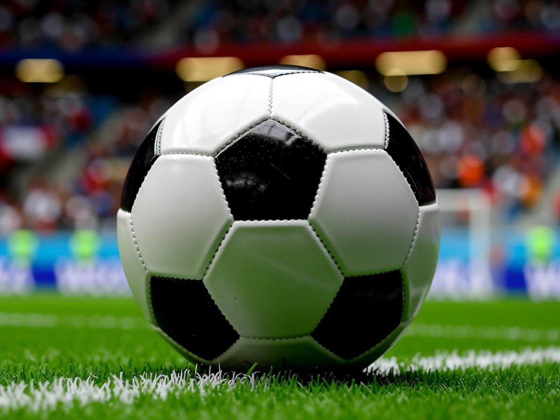 爱游戏官网-全国跆拳道冠军赛竞技与礼仪并重，全国跆拳道锦标系列赛第二站  第3张